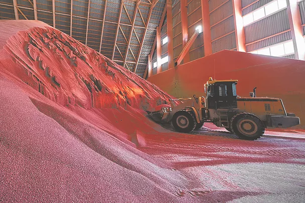 TW1023_red potassium agriculture fertilizer.jpg