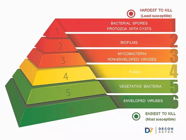 TW0824_Decon7 Hardest to Kill Pathogens.jpg