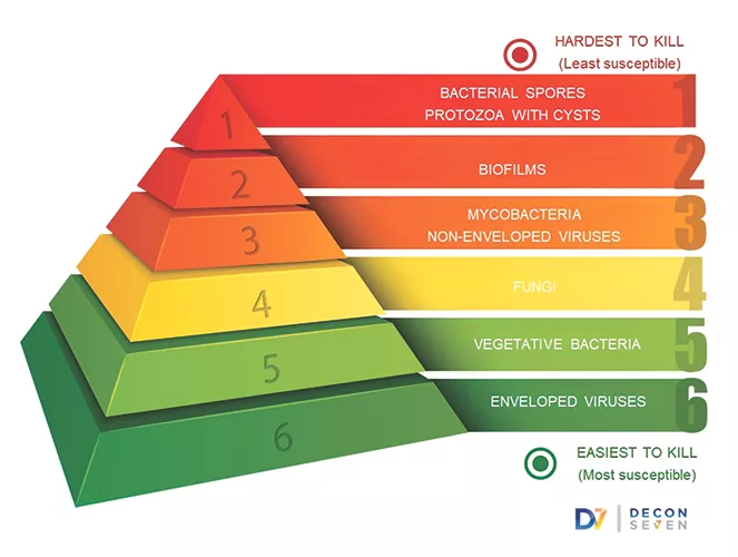 TW0824_Decon7 Hardest to Kill Pathogens.jpg
