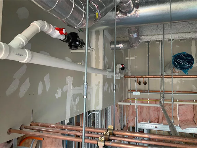 Article Overall Figure (Updated 2).jpg