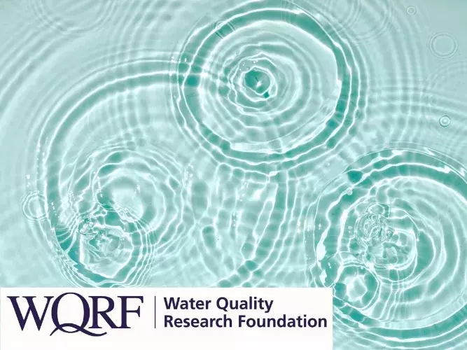 WQRF Funds Breakthrough PFAS Surrogate Research to Streamline Water Treatment Testing.webp