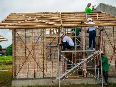 Icc es and base bahay partner in developing global acceptance criteria for structural bamboo