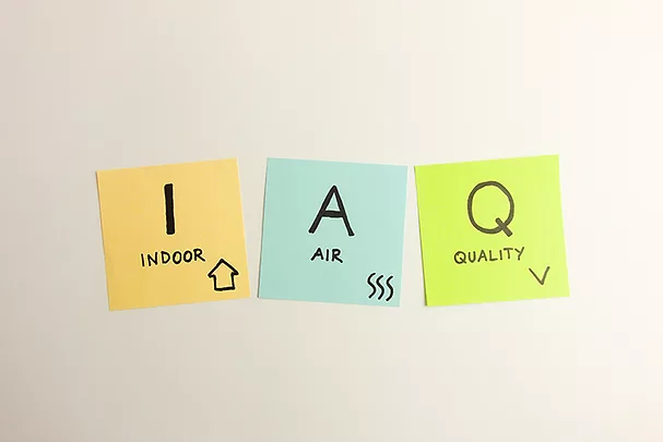 iStock-1384789033.jpg