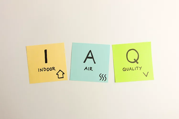 iStock-1384789033.jpg