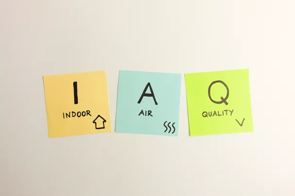 iStock-1384789033.jpg