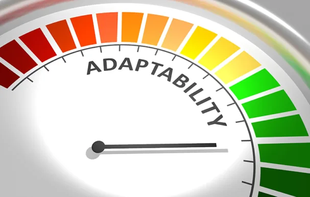 PE0726_adaptability in business.jpg