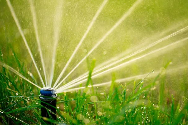 PE0826_lawn sprinkler.jpg