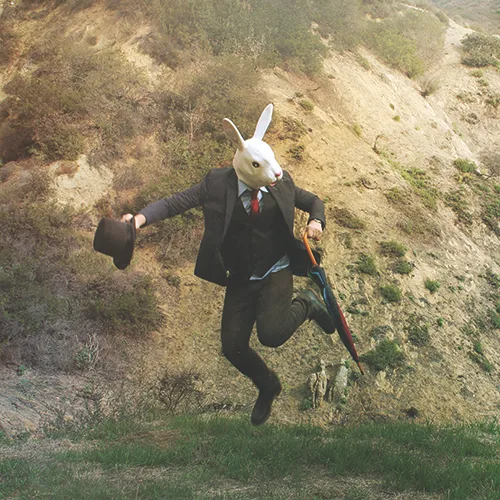 TW0826_rabbit is running late.jpg