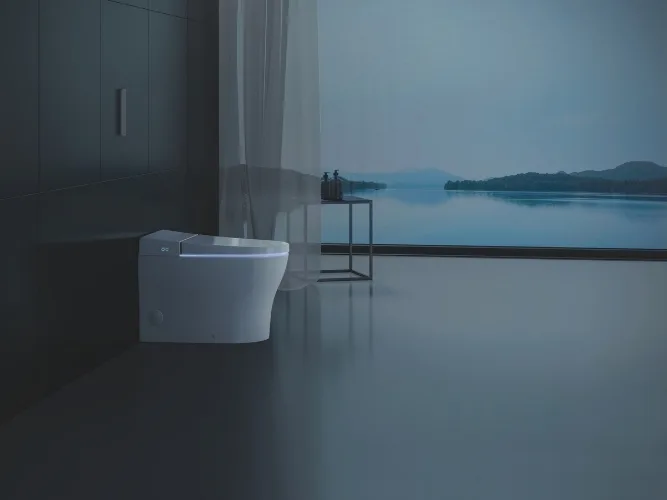 Duravit SensoWash U .jpg