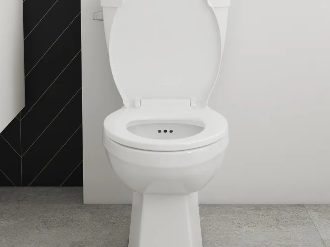 FGI Industries FLUSH GUARD Anti-Overflow Toilet.jpg