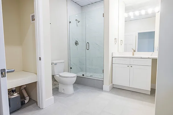 PE1026_Saniflo bathroom.jpg