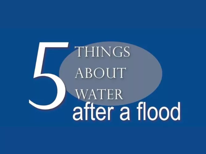WQA Offers Drinking Water Resources and Guidance in Wake of Hurricane Idalia.jpg