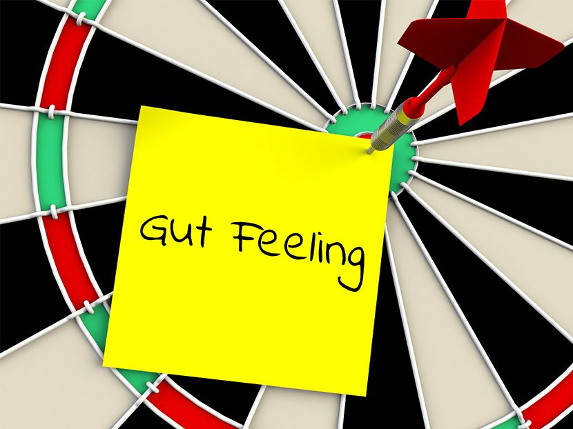 Gut Instinct Phcppros Gut Instinct Phcppros