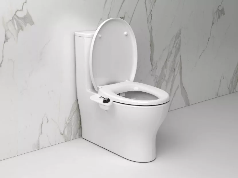 Bio Bidet by Bemis Research More Americans Planning DIY Projects.jpg