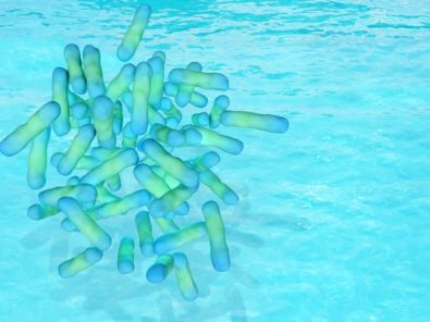 Asse iapmo ansi 12080 for legionella water safety and management personnel now available