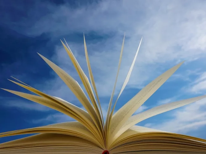 IAPMO and ASSE Offer Access to Library of Standards.jpg