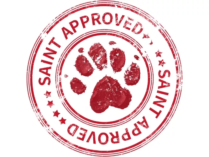 RUFF and Ready to Serve at Braxton Harris Co. 2.jpg