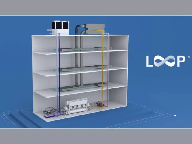 BAC Loop Platform.jpg