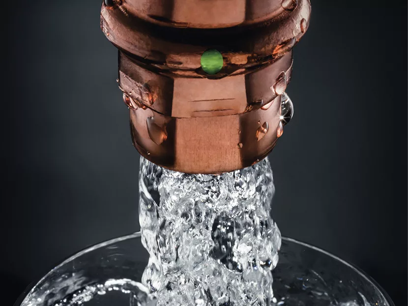 Viega Announced as Sustainability and Climate Leader