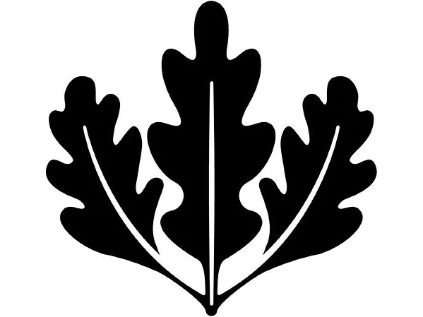 U.S. Green Building Council Announces Participants in 2022 LEED for Cities Local Government Leadership Program