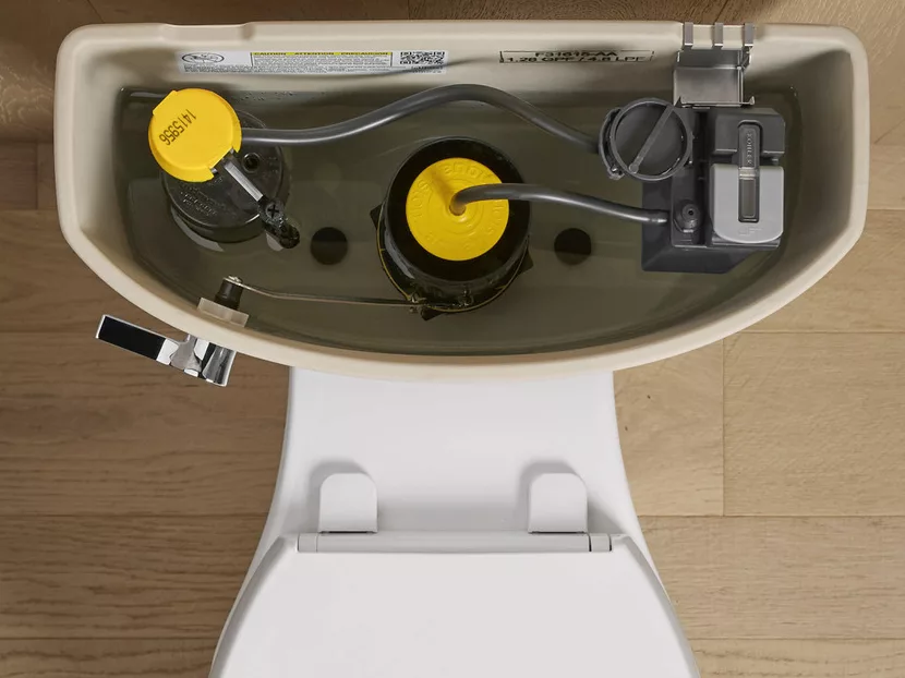 Kohler ContinuousClean ST Technology