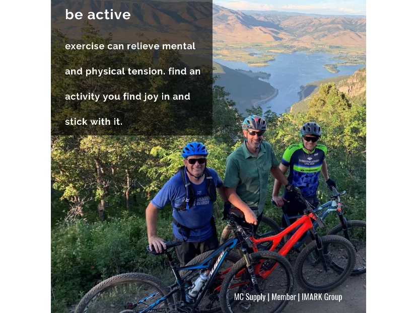 IMARK Plumbing and Luxury Products Group Launch Partnership with Fitbit 3