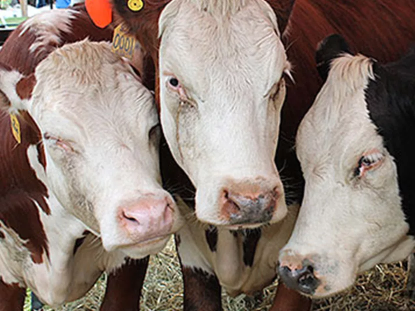 2017-September-GWT Empire farm days