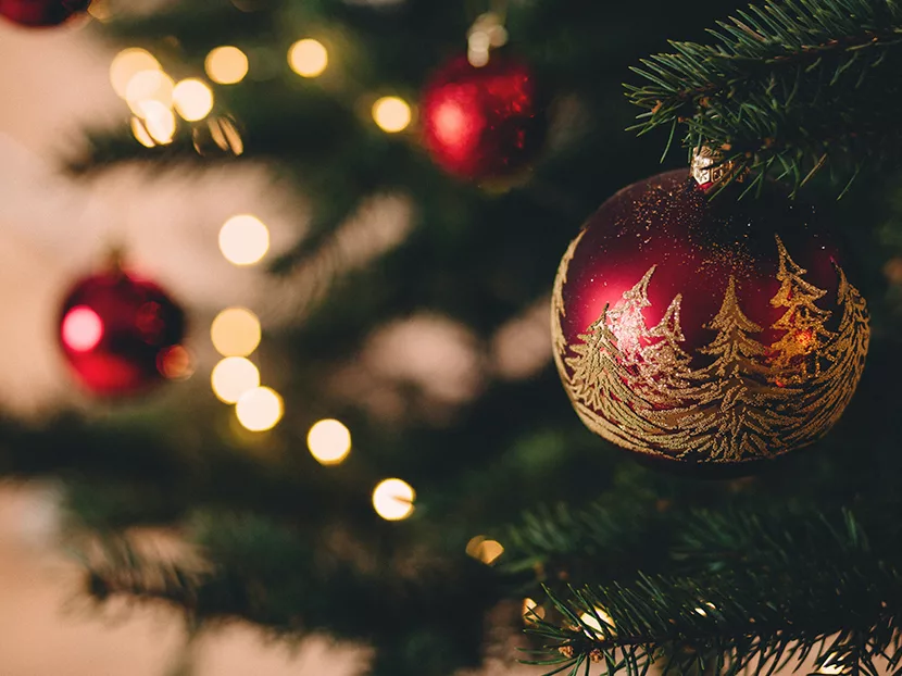 Mike Rowe Releases Christmas Song to Raise Funds for Skilled Trades Scholarships