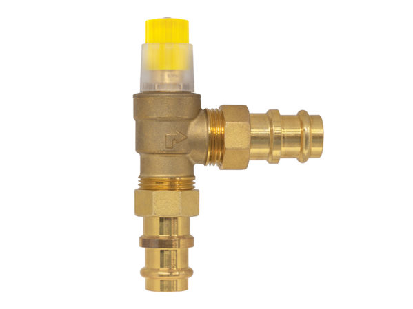 Webstone Differential Pressure By-Pass Valve 2