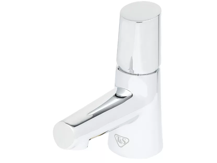 T&S Brass and Bronze Works LakeCrest Aesthetic Metering Faucet.jpg