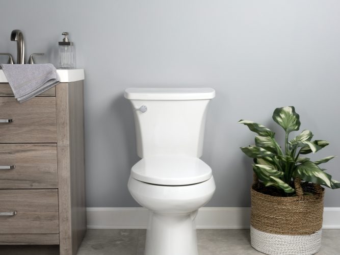 Mayfair by Bemis Greenleaf Toilet Seat.jpg