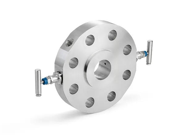 Emerson TESCOM AGI BR Series Flushing Ring.jpg