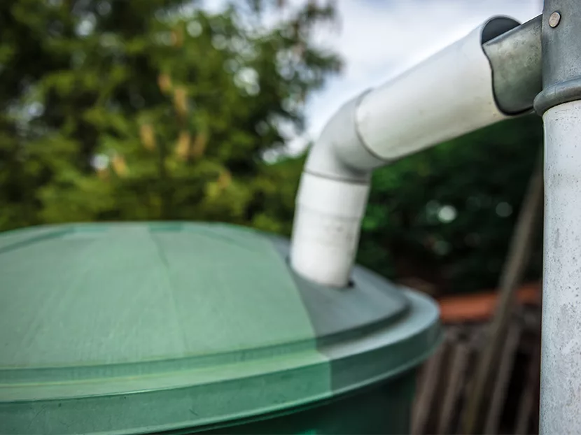 Rainwater Harvesting