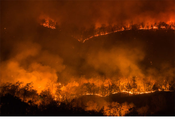 Sonoma Wildfires 