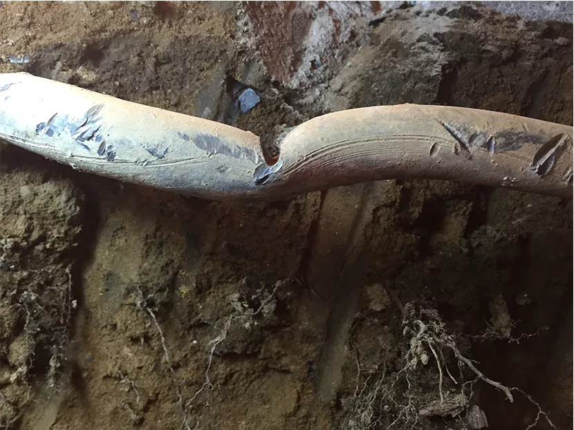 Lead in Drinking Water