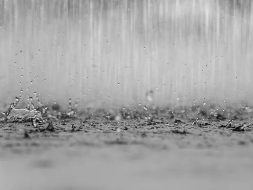 2018 April PHC Harvey Ramer