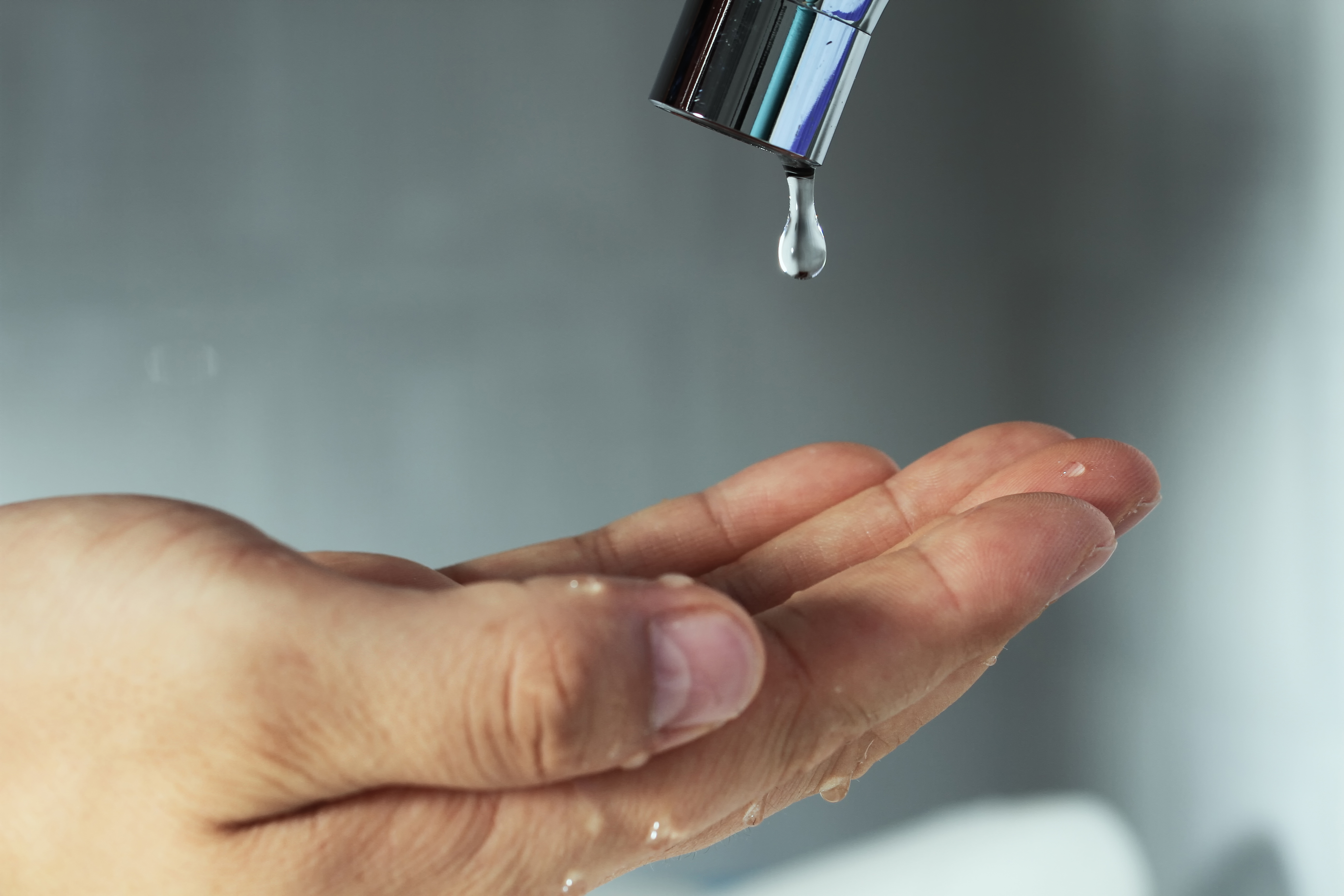 2018 Jan PHC Niagara Conservation