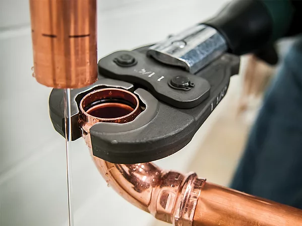 greenlee_May_2018_PHC