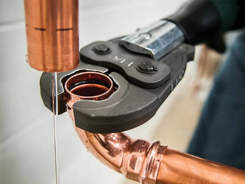 greenlee_May_2018_PHC