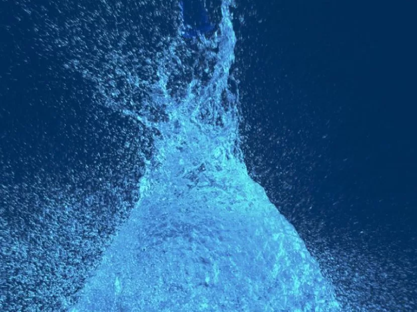 Niagara Announces New Wholesale Program