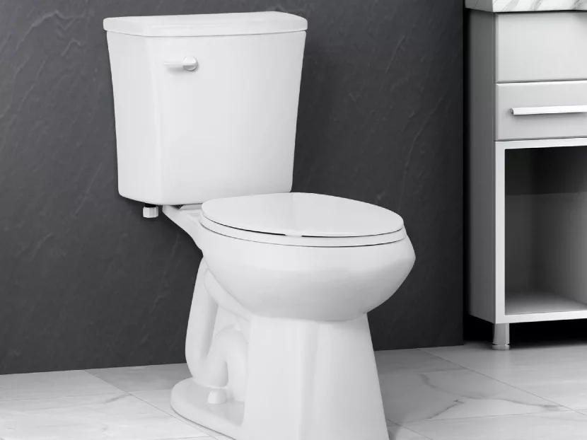 Niagra Stealth Technology Toilets 2