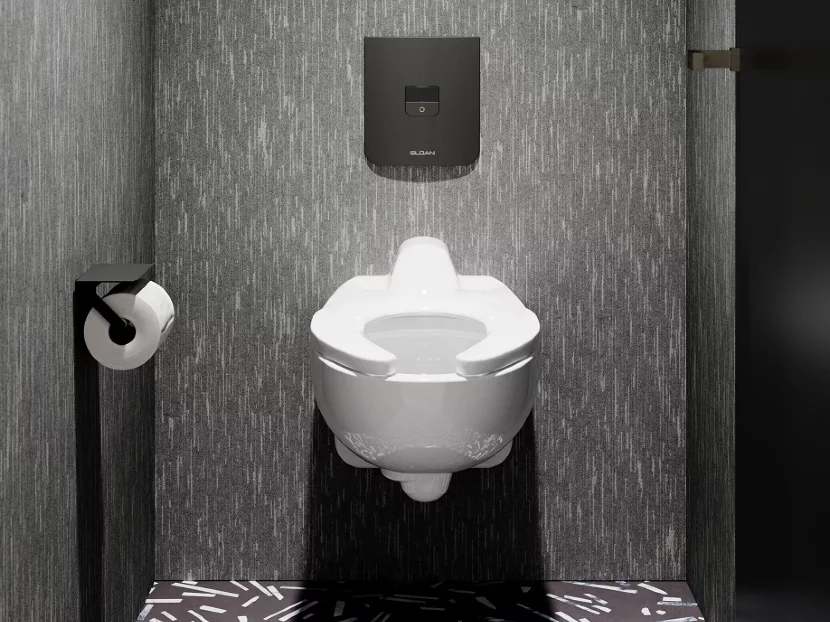  Sloan CX Concealed Flushometer