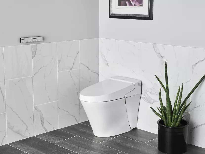 American Standard Advanced Clean 100 SpaLet Bidet Toilet 2