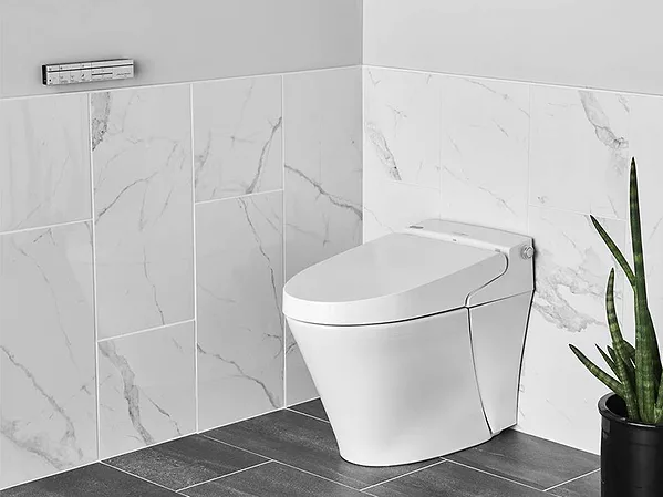 American Standard Advanced Clean 100 SpaLet Bidet Toilet