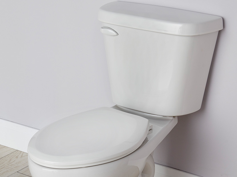 Gerber Viper 1.0 Toilet 20170815 phcppros