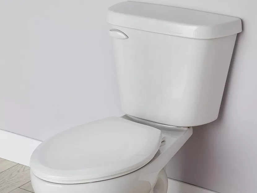 2017-September-Gerber Viper