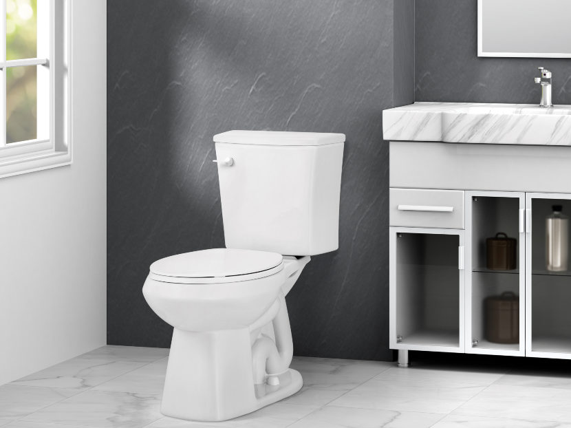 Niagra Shadow 0.8 Stealth Technology Toilet.jpg
