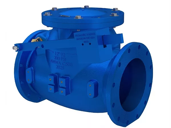 Flomatic Model 92 Swing Check Valve.jpg